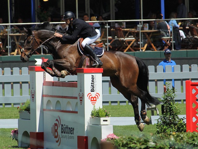 爱游戏官方入口：世界亚军被淘汰！1：3不敌日本张本智和，仁川冠军赛遭遇一轮游.